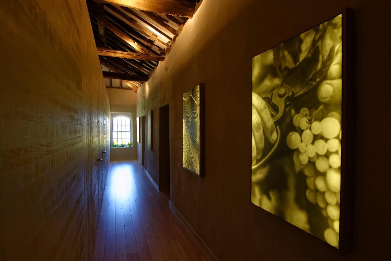 Quinta Da Casa Amarela- Casas Da Quinta - Turismo Em Espaco Rural Lamego Kültér fotó
