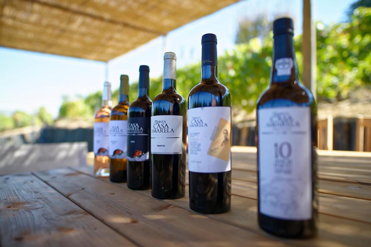 Quinta Da Casa Amarela- Casas Da Quinta - Turismo Em Espaco Rural Lamego Kültér fotó