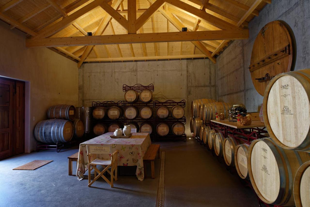 Quinta Da Casa Amarela- Casas Da Quinta - Turismo Em Espaco Rural Lamego Kültér fotó