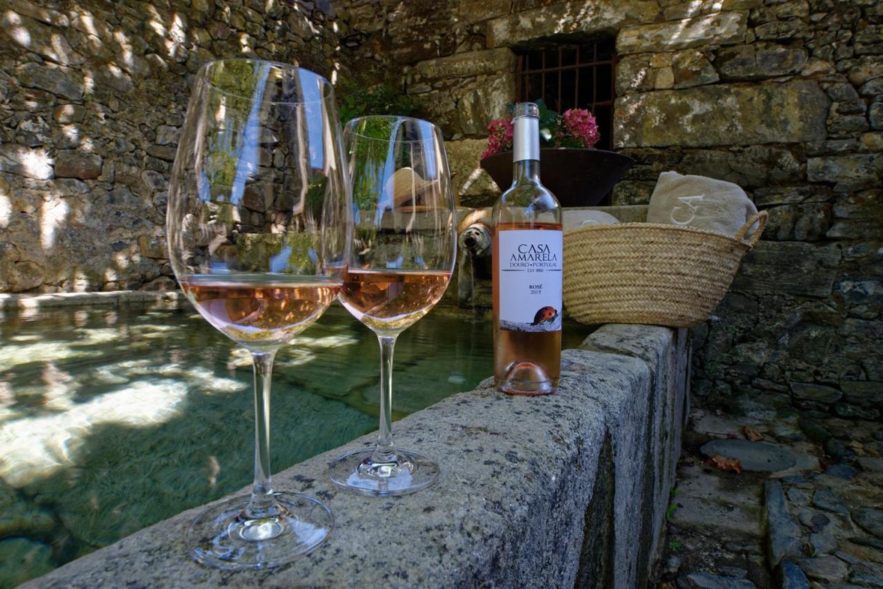 Quinta Da Casa Amarela- Casas Da Quinta - Turismo Em Espaco Rural Lamego Kültér fotó